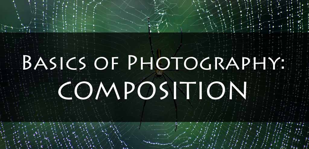 Composition – Basics of Photography